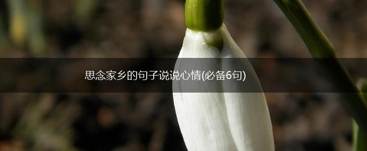 思念家乡的句子说说心情(必备6句),第1张