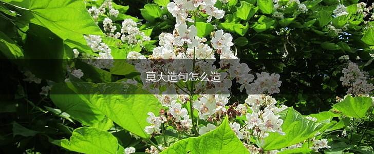莫大造句怎么造,第1张 莫大造句怎么造,第1张