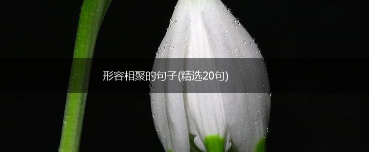 形容相聚的句子(精选20句),第1张