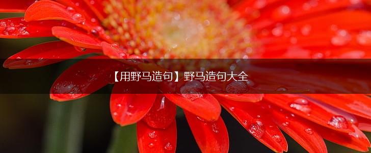 【用野马造句】野马造句大全,第1张 【用野马造句】野马造句大全,第1张