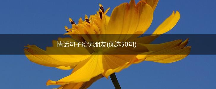 情话句子给男朋友(优选50句),第1张