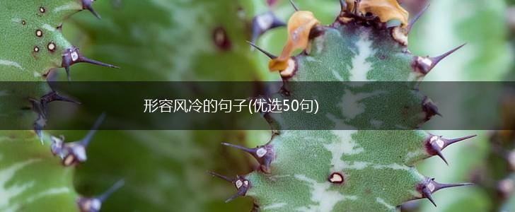 形容风冷的句子(优选50句),第1张