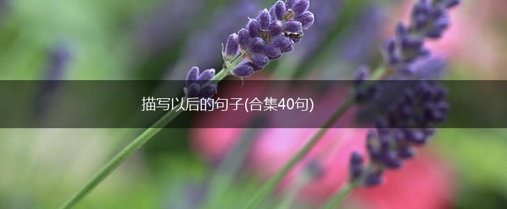 描写以后的句子(合集40句),第1张