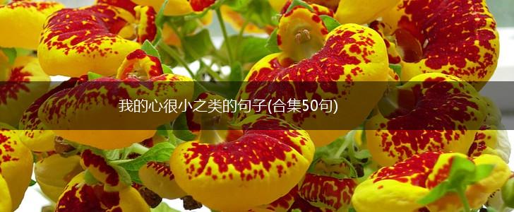 我的心很小之类的句子(合集50句),第1张