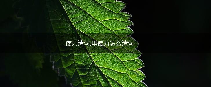 使力造句,用使力怎么造句,第1张 使力造句,用使力怎么造句,第1张