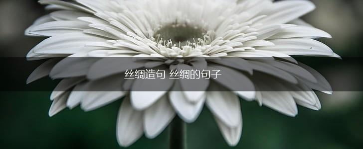 丝绸造句 丝绸的句子,第1张 丝绸造句 丝绸的句子,第1张