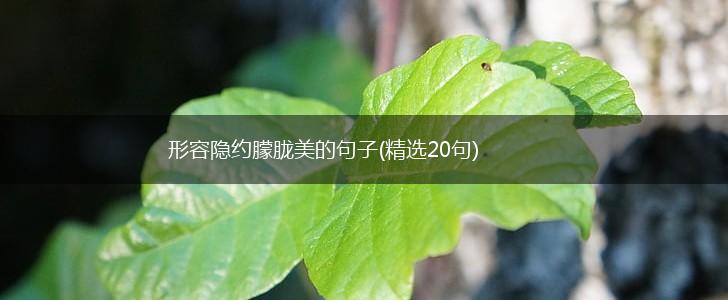 形容隐约朦胧美的句子(精选20句),第1张