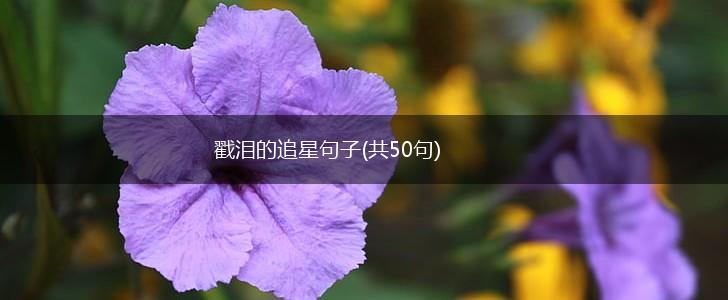 戳泪的追星句子(共50句),第1张