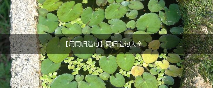 【用同归造句】同归造句大全,第1张 【用同归造句】同归造句大全,第1张