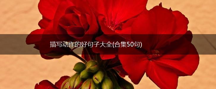 描写动作的好句子大全(合集50句),第1张