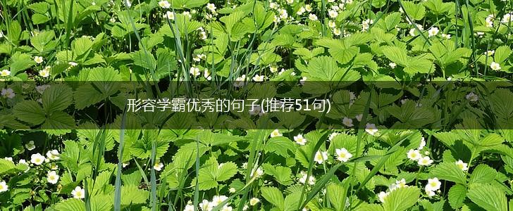 形容学霸优秀的句子(推荐51句),第1张