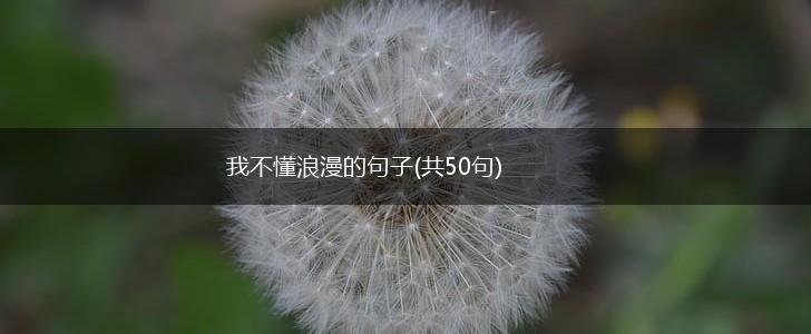 我不懂浪漫的句子(共50句),第1张