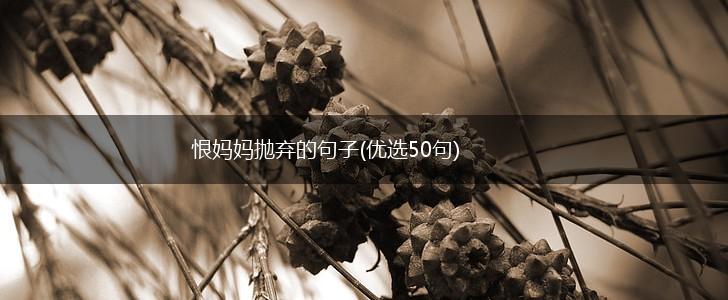 恨妈妈抛弃的句子(优选50句),第1张