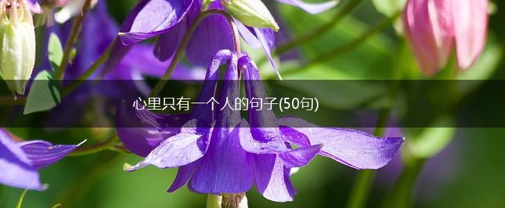 心里只有一个人的句子(50句),第1张