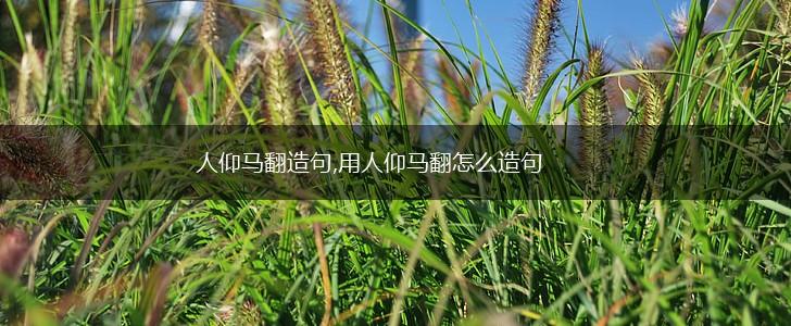 人仰马翻造句,用人仰马翻怎么造句,第1张