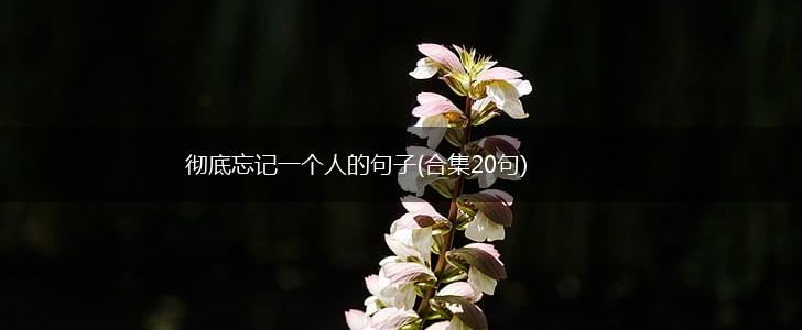 彻底忘记一个人的句子(合集20句),第1张