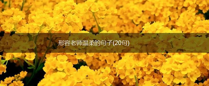 形容老师温柔的句子(20句),第1张