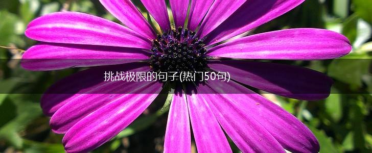 挑战极限的句子(热门50句),第1张
