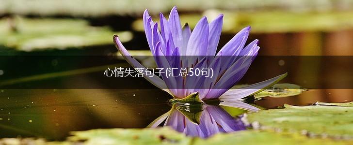 心情失落句子(汇总50句),第1张