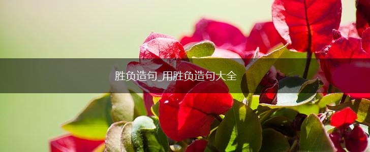 胜负造句_用胜负造句大全,第1张 胜负造句_用胜负造句大全,第1张