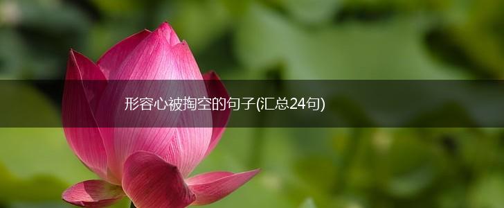 形容心被掏空的句子(汇总24句),第1张