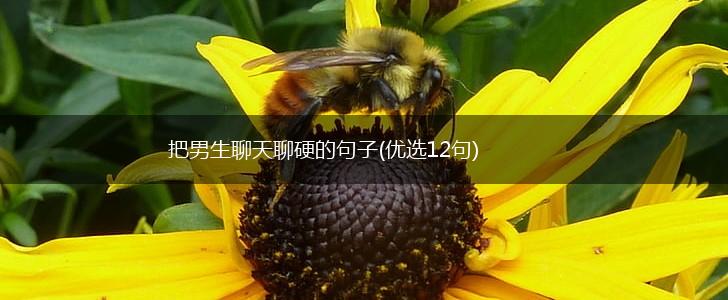 把男生聊天聊硬的句子(优选12句),第1张