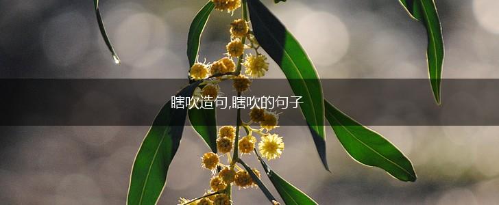 瞎吹造句,瞎吹的句子,第1张