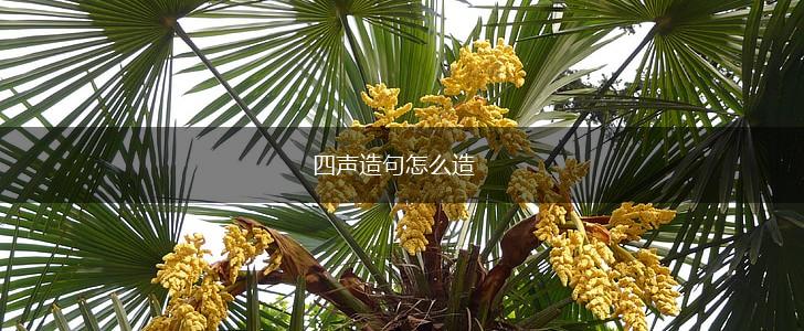 四声造句怎么造,第1张 四声造句怎么造,第1张