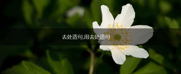 去处造句,用去处造句,第1张 去处造句,用去处造句,第1张