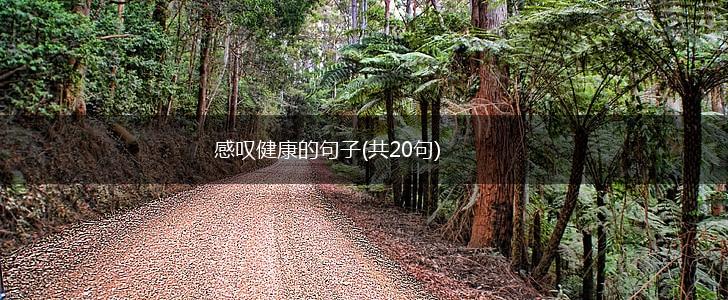 感叹健康的句子(共20句),第1张