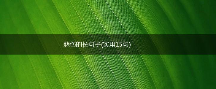 悲伤的长句子(实用15句),第1张