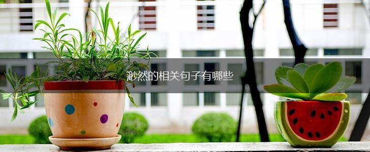 渺然的相关句子有哪些,第1张 渺然的相关句子有哪些,第1张