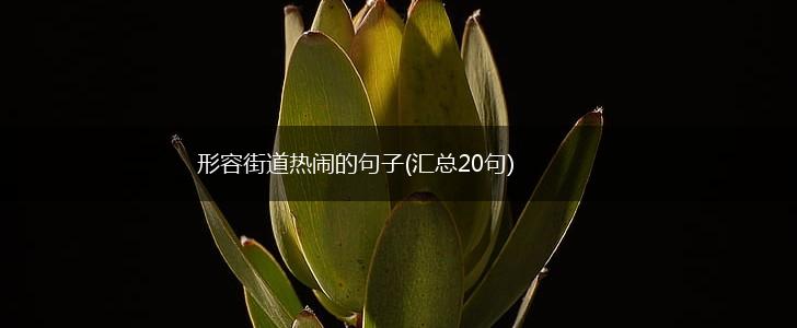 形容街道热闹的句子(汇总20句),第1张