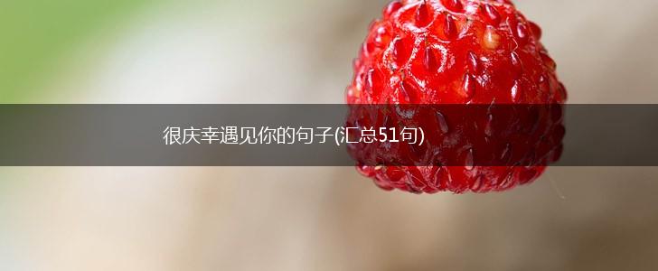 很庆幸遇见你的句子(汇总51句),第1张
