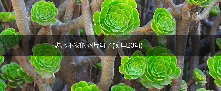 忐忑不安的图片句子(实用20句),第1张 忐忑不安的图片句子(实用20句),第1张