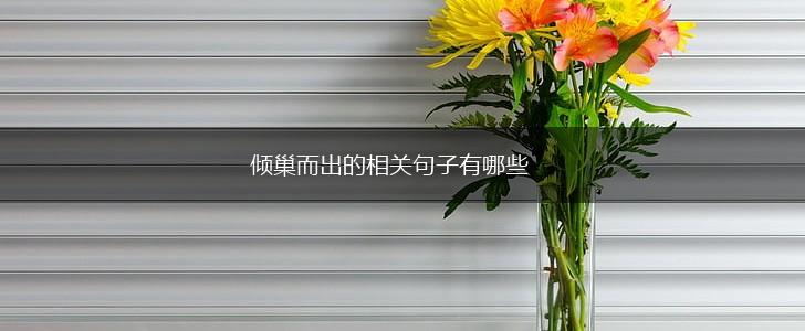 倾巢而出的相关句子有哪些,第1张