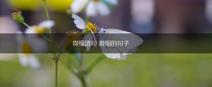 畏缩造句 畏缩的句子,第1张