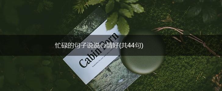 忙碌的句子说说心情好(共44句),第1张