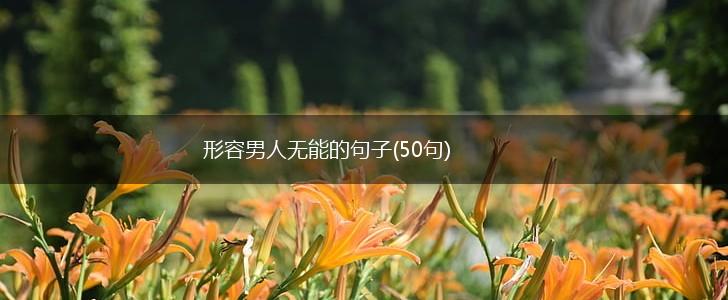 形容男人无能的句子(50句),第1张