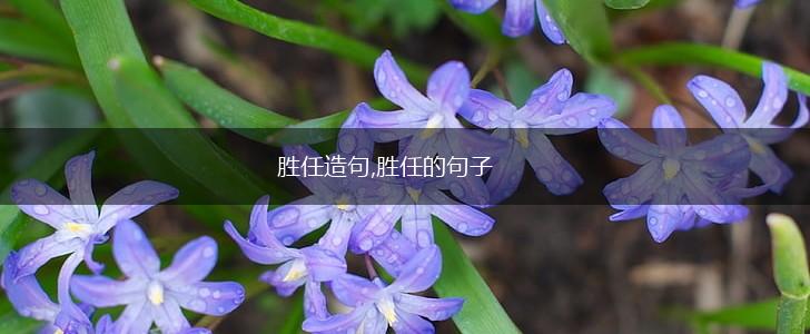 胜任造句,胜任的句子,第1张 胜任造句,胜任的句子,第1张