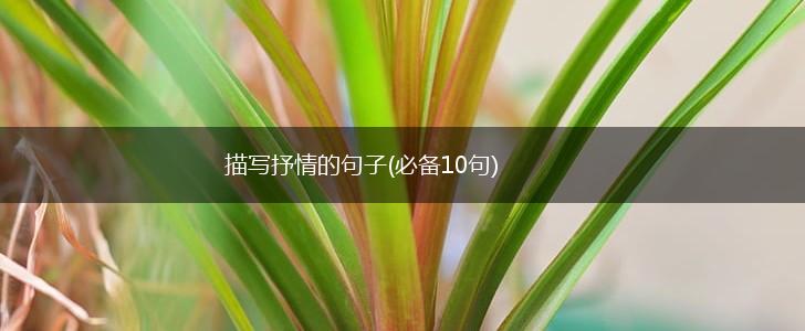 描写抒情的句子(必备10句),第1张