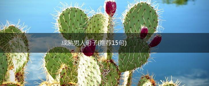 成熟男人句子(推荐15句),第1张