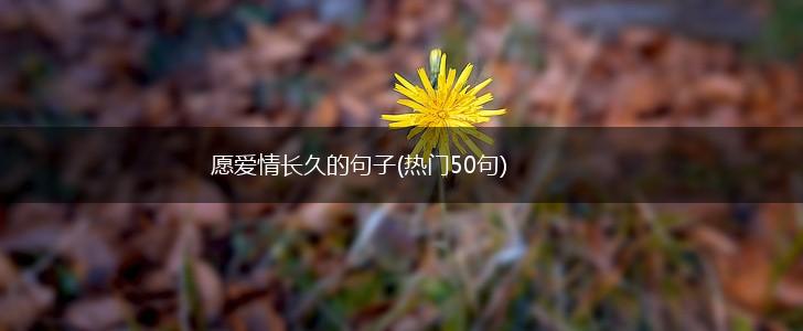 愿爱情长久的句子(热门50句),第1张