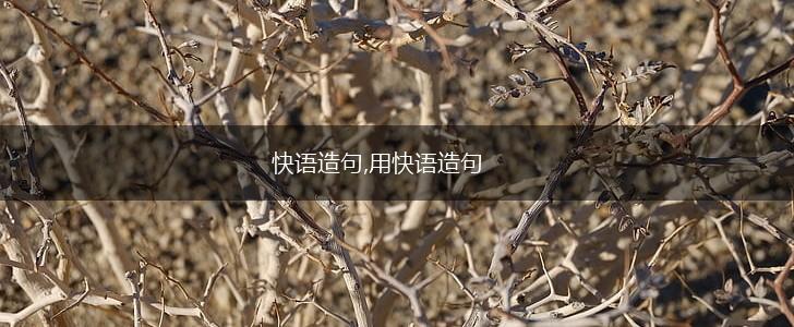 快语造句,用快语造句,第1张 快语造句,用快语造句,第1张