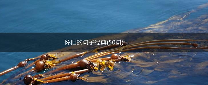 怀旧的句子经典(50句),第1张