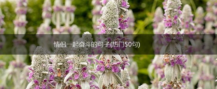 情侣一起奋斗的句子(热门50句),第1张