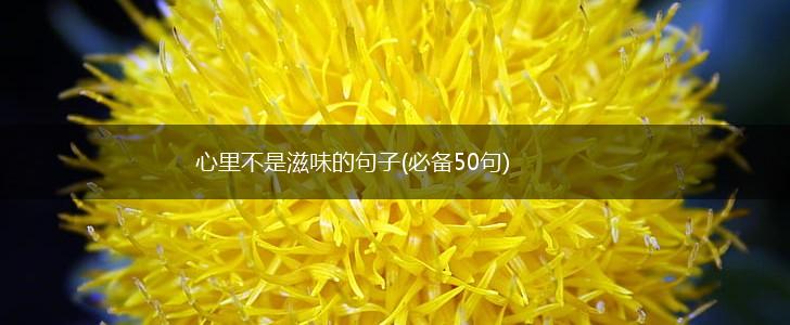心里不是滋味的句子(必备50句),第1张