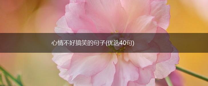 心情不好搞笑的句子(优选40句),第1张