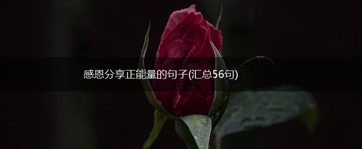 感恩分享正能量的句子(汇总56句),第1张
