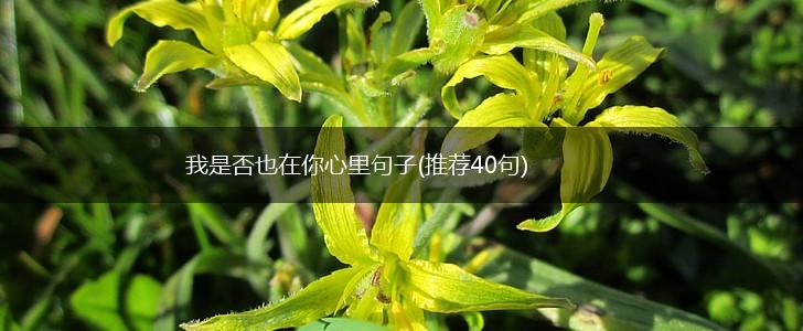 我是否也在你心里句子(推荐40句),第1张